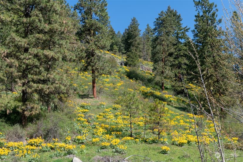 Property photo for 10690 Fox Road, Leavenworth photo 10