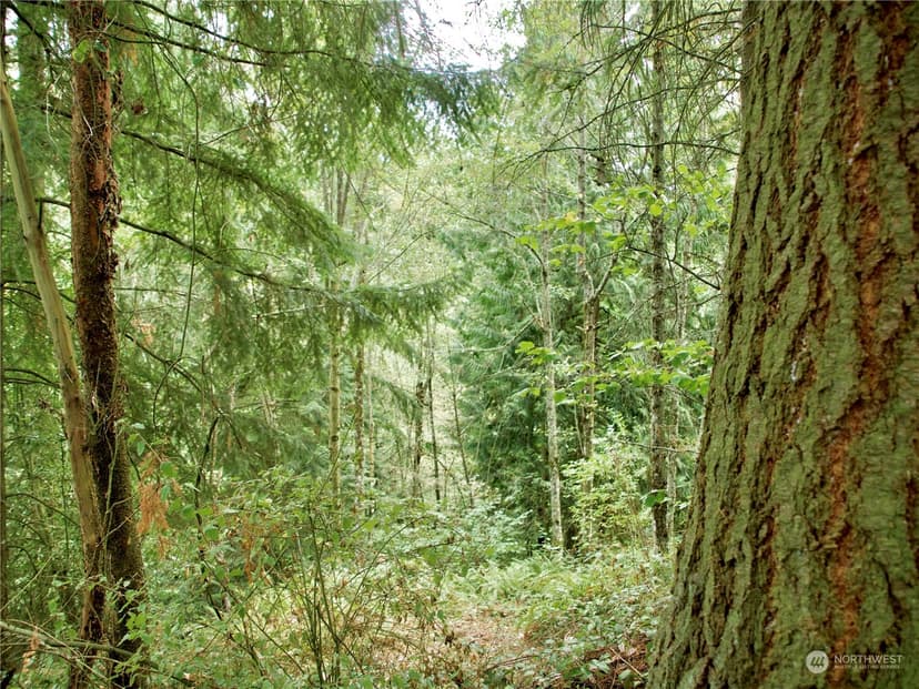 Property photo for 17233 State Route 410 W, Bonney Lake photo 10