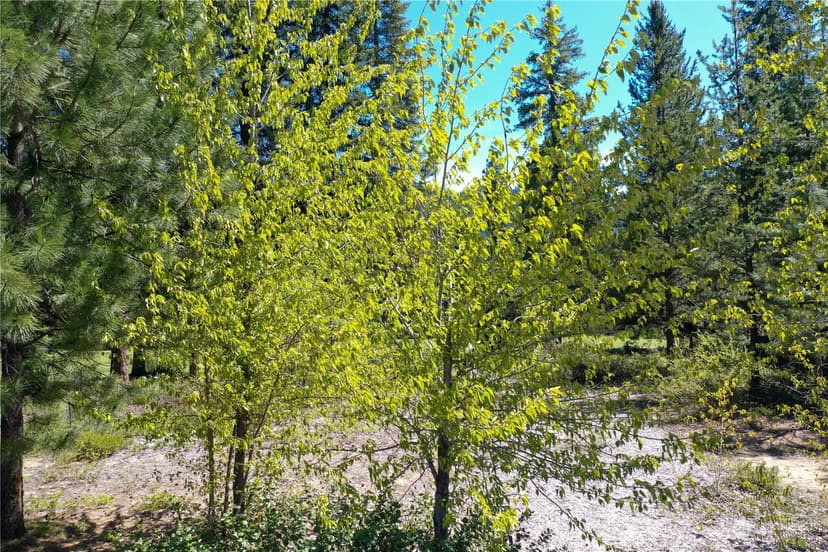 Property photo for 20685 Miracle Mile, Leavenworth photo 4