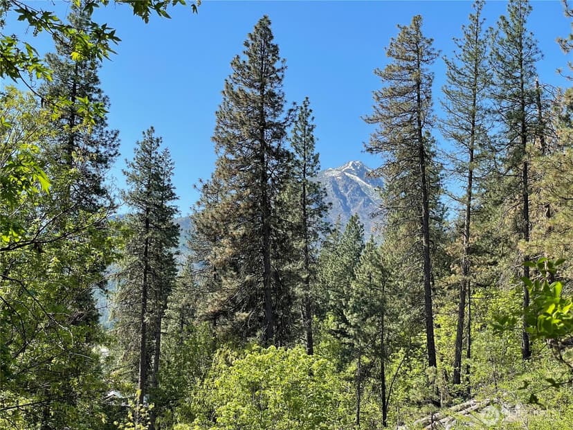 Property photo for 0 Icicle Road, Leavenworth photo 11