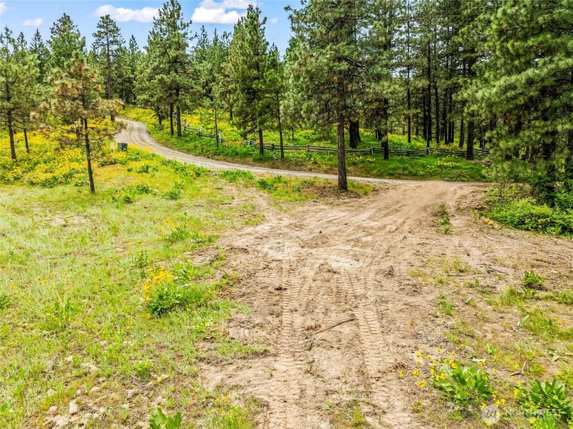 Property photo for 981 Nighthawk Ridge Lane, Leavenworth photo 37