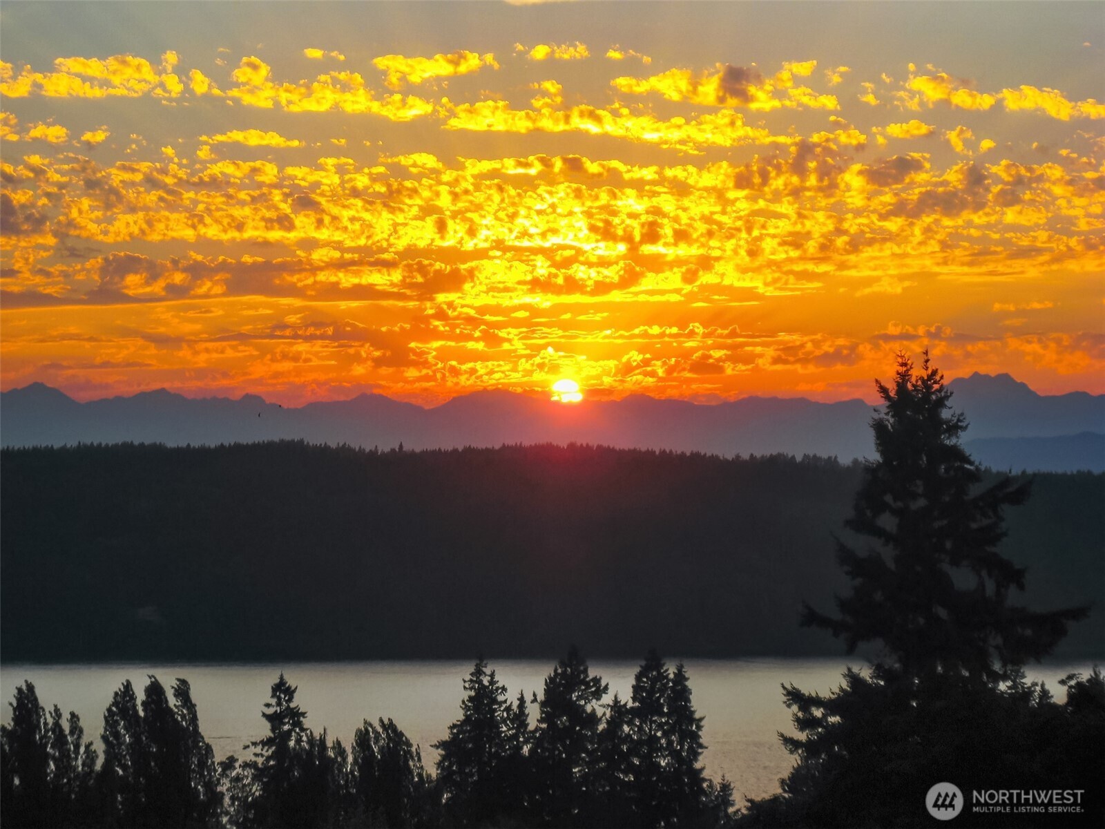 Property photo for 18005 Thorsen Road SW, Vashon photo 40