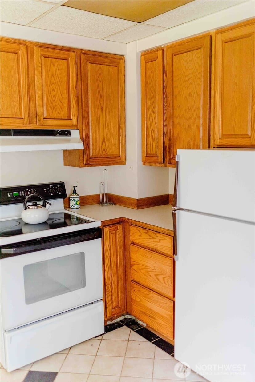 Property photo for 565 S Director, Seattle photo 32