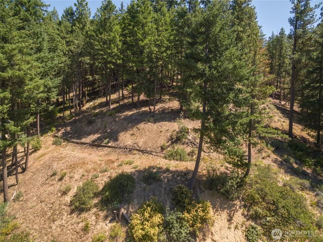 Property photo for 25601 Camp 12 Rd, Leavenworth photo 4