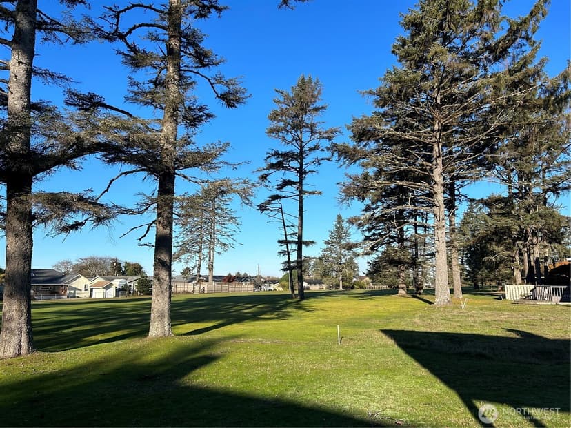 Property photo for 433 Dolphin Avenue NE, Ocean Shores photo 22