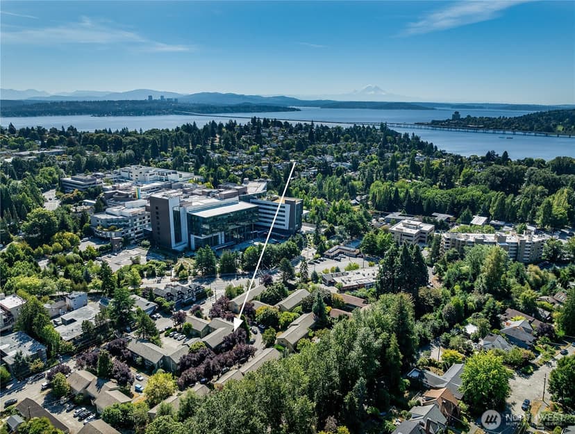 Property photo for 4818 Terrace Drive NE, Seattle photo 16