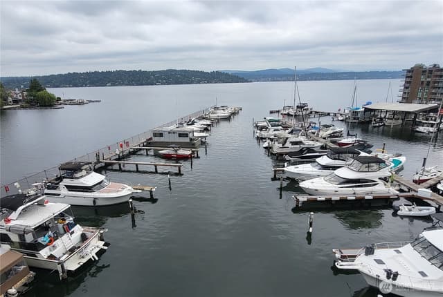 Property photo for 9030 Seward Park Avenue S #513, Seattle photo 3