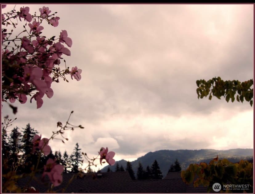 Property photo for 280 NW Newport Way #B14, Issaquah photo 27