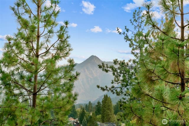 Property photo for 10224 Titus Road, Leavenworth photo 5