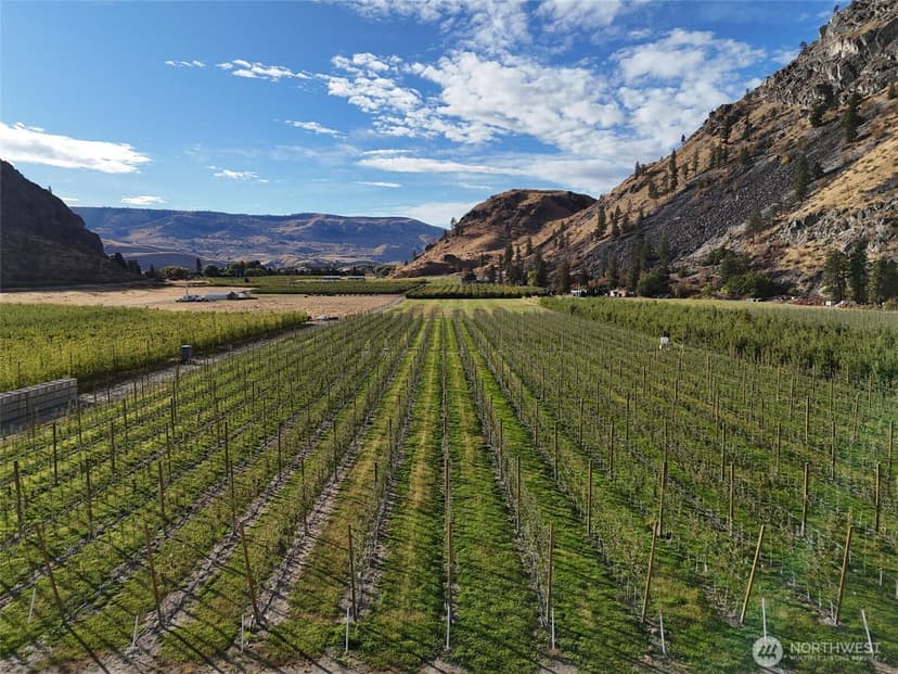 Property photo for 263 Oliver Lane, Chelan photo 9