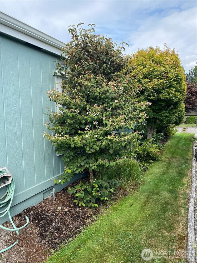 Property photo for 1810 138th Street E, Tacoma photo 36