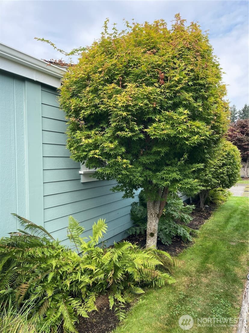 Property photo for 1810 138th Street E, Tacoma photo 35