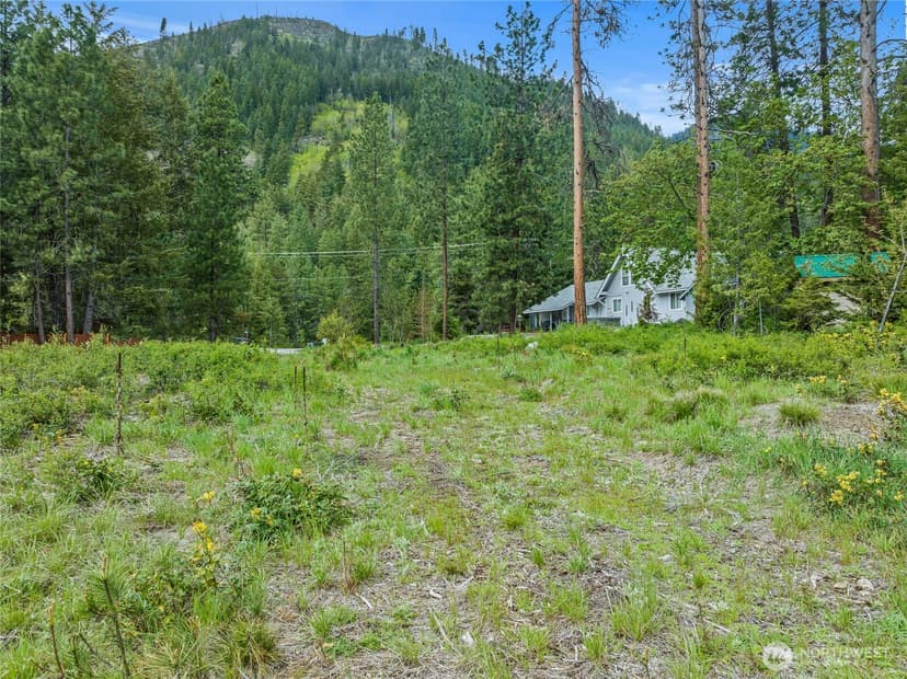 Property photo for 37 Norling Lane, Leavenworth photo 21