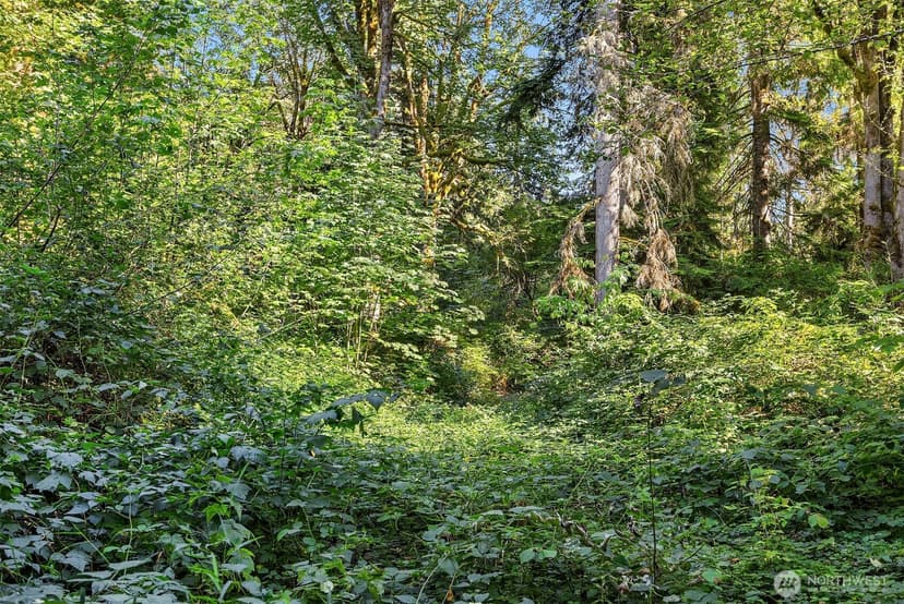 Property photo for 358 XX NE Moss Lake Road, Carnation photo 10