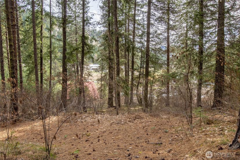 Property photo for 1 Chumstick Highway, Leavenworth photo 3