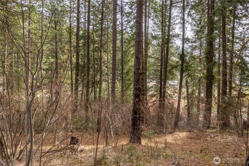 Property photo for 1 Chumstick Highway, Leavenworth photo 11