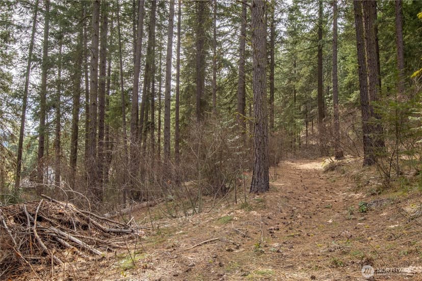 Property photo for 1 Chumstick Highway, Leavenworth photo 7