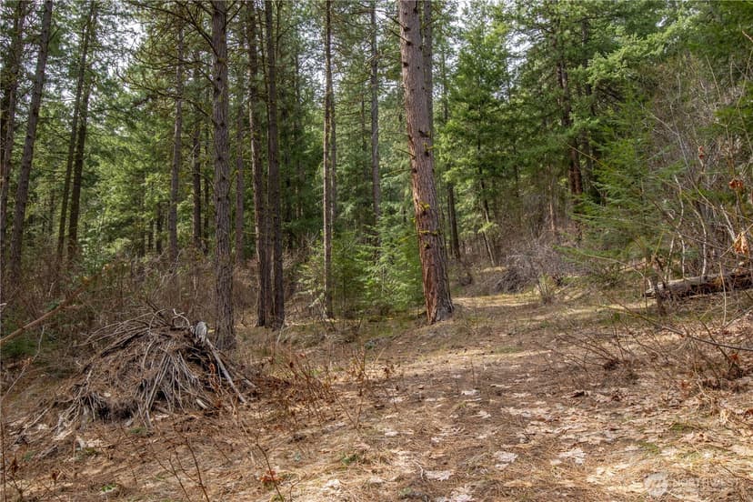 Property photo for 1 Chumstick Highway, Leavenworth photo 6