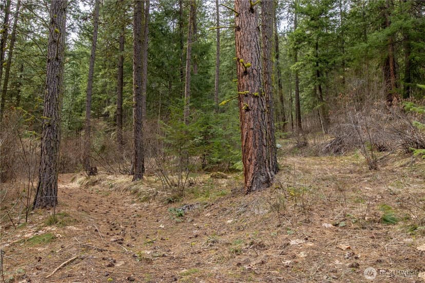 Property photo for 1 Chumstick Highway, Leavenworth photo 14