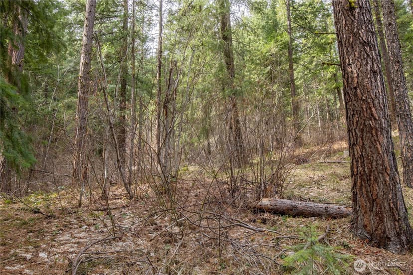 Property photo for 1 Chumstick Highway, Leavenworth photo 10