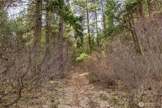 Property photo for 1 Chumstick Highway, Leavenworth photo 5