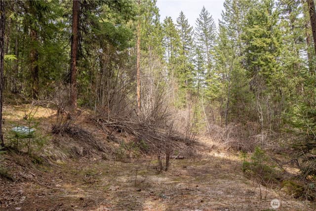 Property photo for 1 Chumstick Highway, Leavenworth photo 4