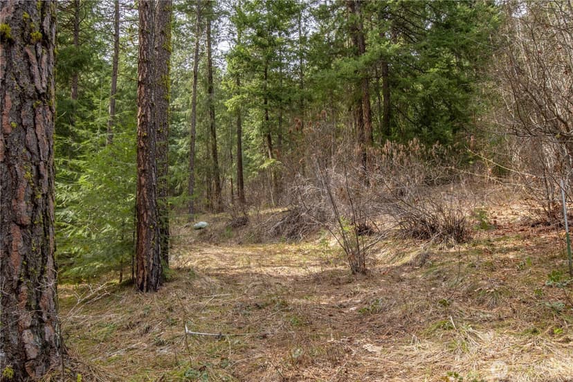 Property photo for 1 Chumstick Highway, Leavenworth photo 8