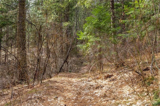 Property photo for 1 Chumstick Highway, Leavenworth photo 2