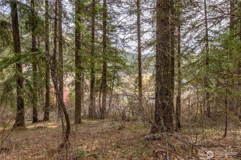 Property photo for 1 Chumstick Highway, Leavenworth photo 13