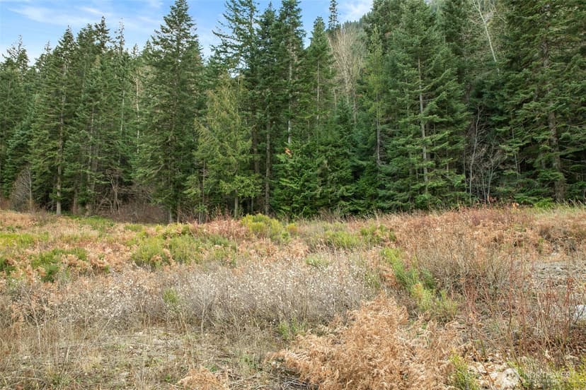 Property photo for 0 XXX 0, Leavenworth photo 8
