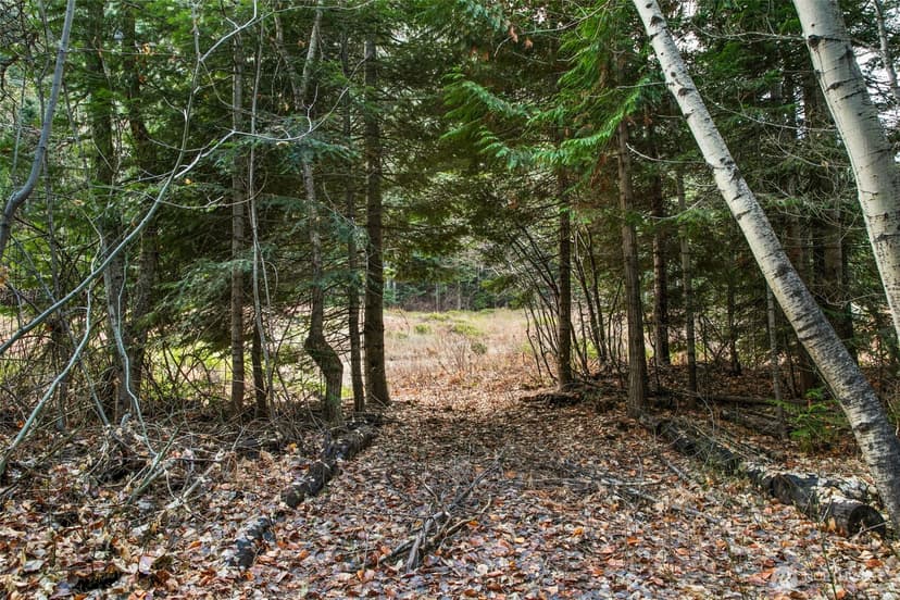 Property photo for 0 XXX 0, Leavenworth photo 7