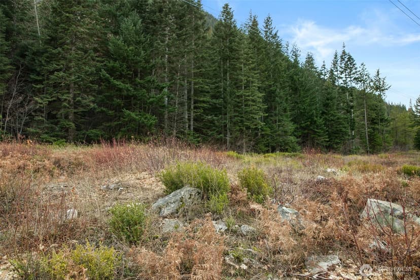 Property photo for 0 XXX 0, Leavenworth photo 9