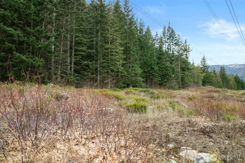 Property photo for 0 XXX 0, Leavenworth photo 15