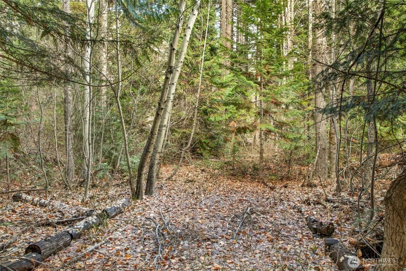 Property photo for 0 XXX 0, Leavenworth photo 6
