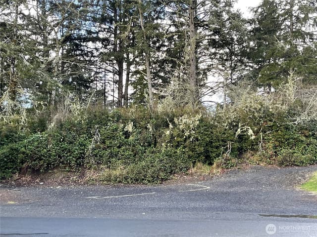 Property photo for 653 Sunset Avenue NE, Ocean Shores photo 4