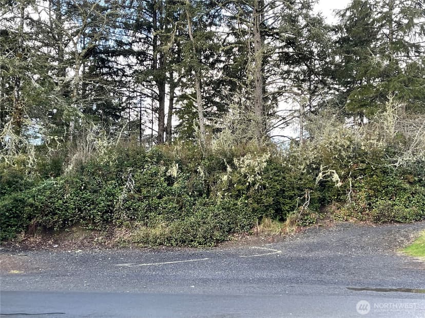 Property photo for 653 Sunset Avenue NE, Ocean Shores photo 4