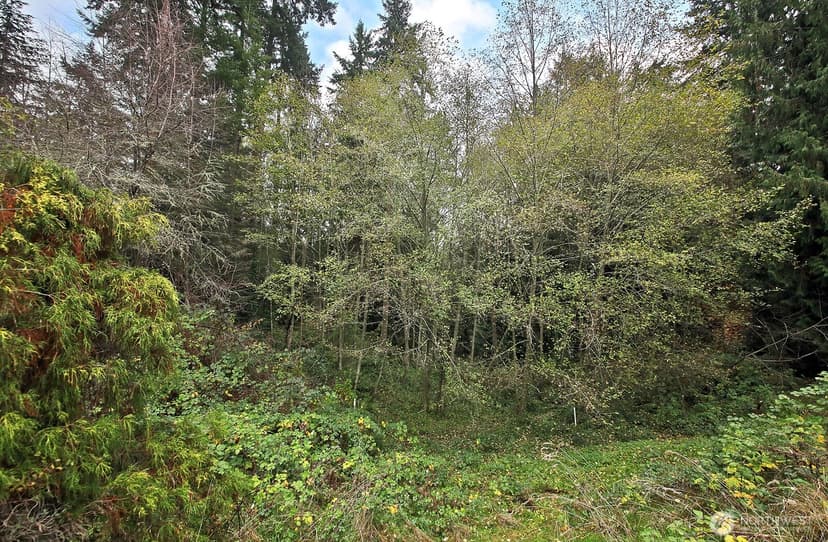 Property photo for 4369 Shadowood Drive, Clinton photo 9