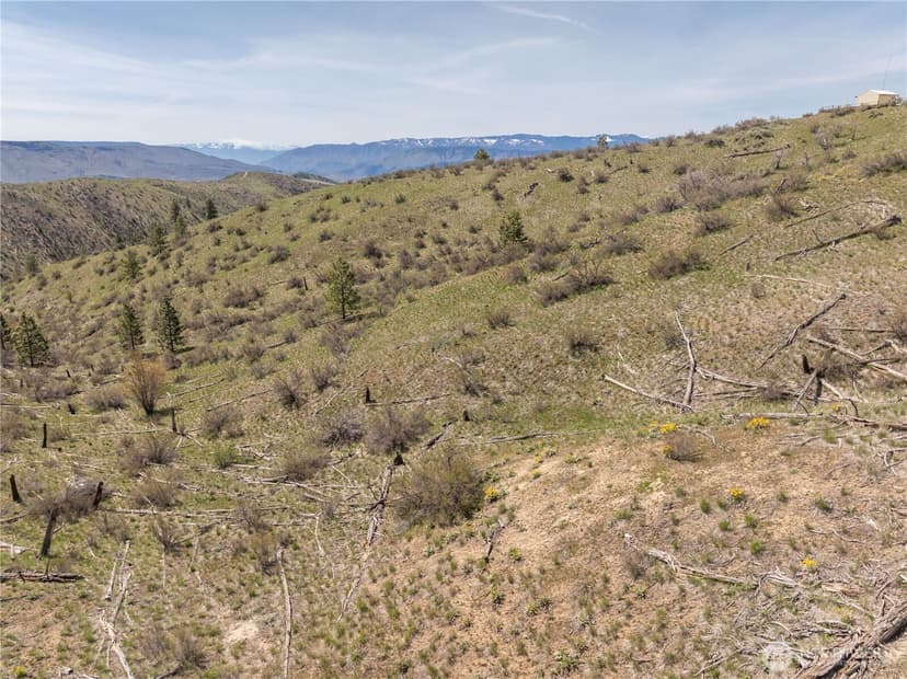 Property photo for 295 Hawks Ridge Road, Chelan photo 26