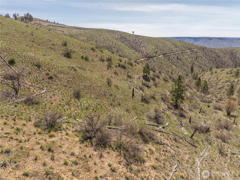 Property photo for 295 Hawks Ridge Road, Chelan photo 25