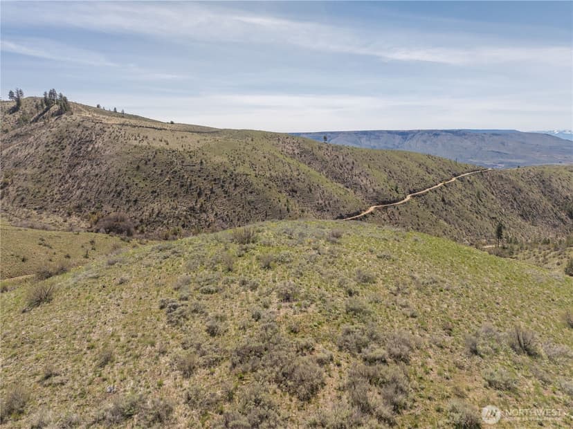 Property photo for 295 Hawks Ridge Road, Chelan photo 15