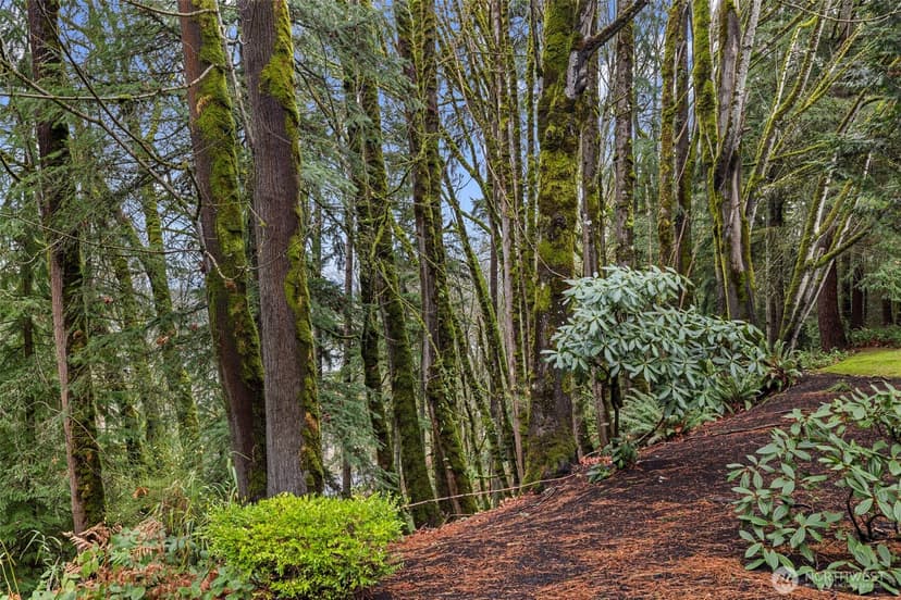 Property photo for 5000 NW Village Park Drive #F132, Issaquah photo 36