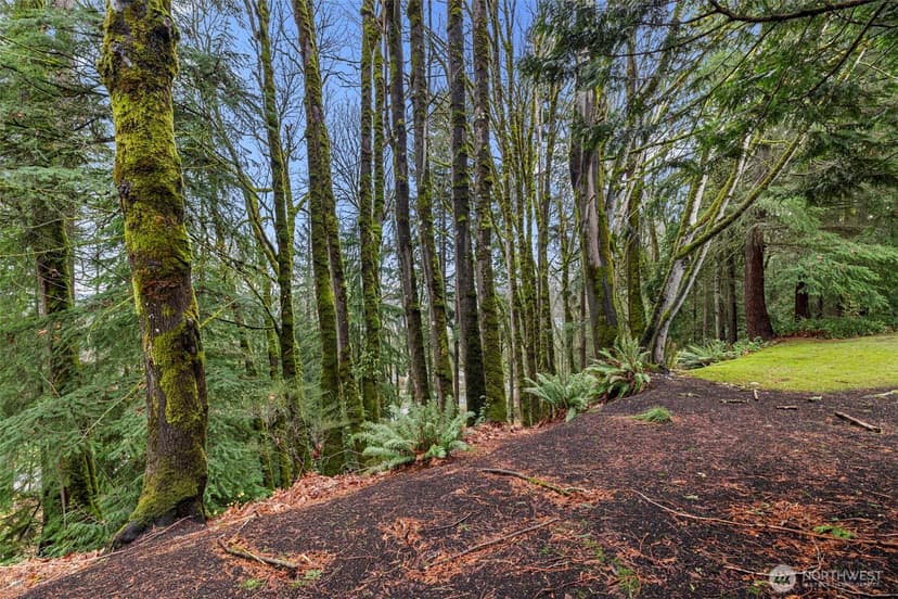 Property photo for 5000 NW Village Park Drive #F132, Issaquah photo 35