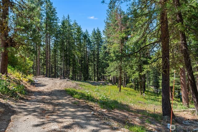 Property photo for 22125 Appaloosa Lane, Leavenworth photo 2