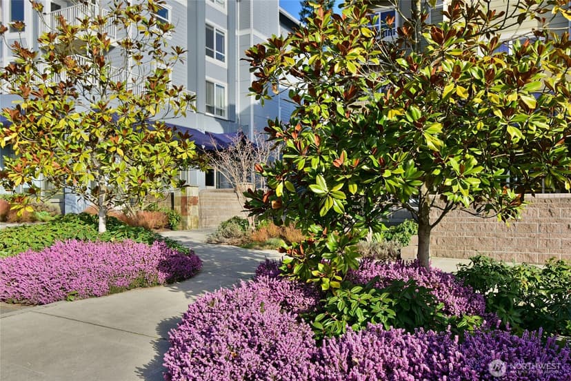 Property photo for 300 High School Road NE #314, Bainbridge Island photo 28