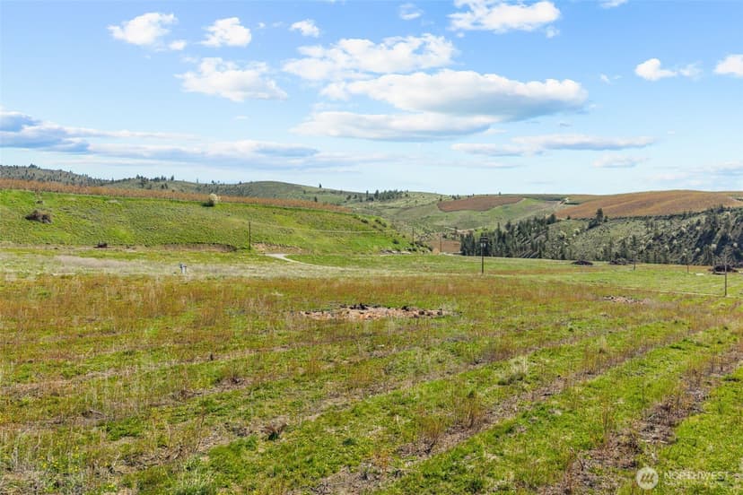 Property photo for 565 Boyd Loop Rd, Manson photo 27