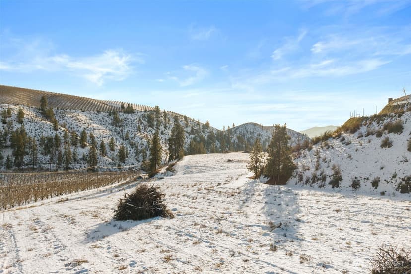 Property photo for 762 Boyd Loop Road, Manson photo 29