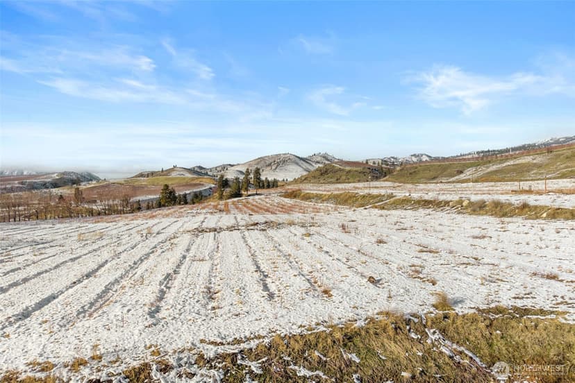 Property photo for 55 Swanson Gulch Road, Manson photo 25