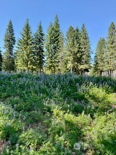 Property photo for 20637 Miracle Mile, Leavenworth photo 3
