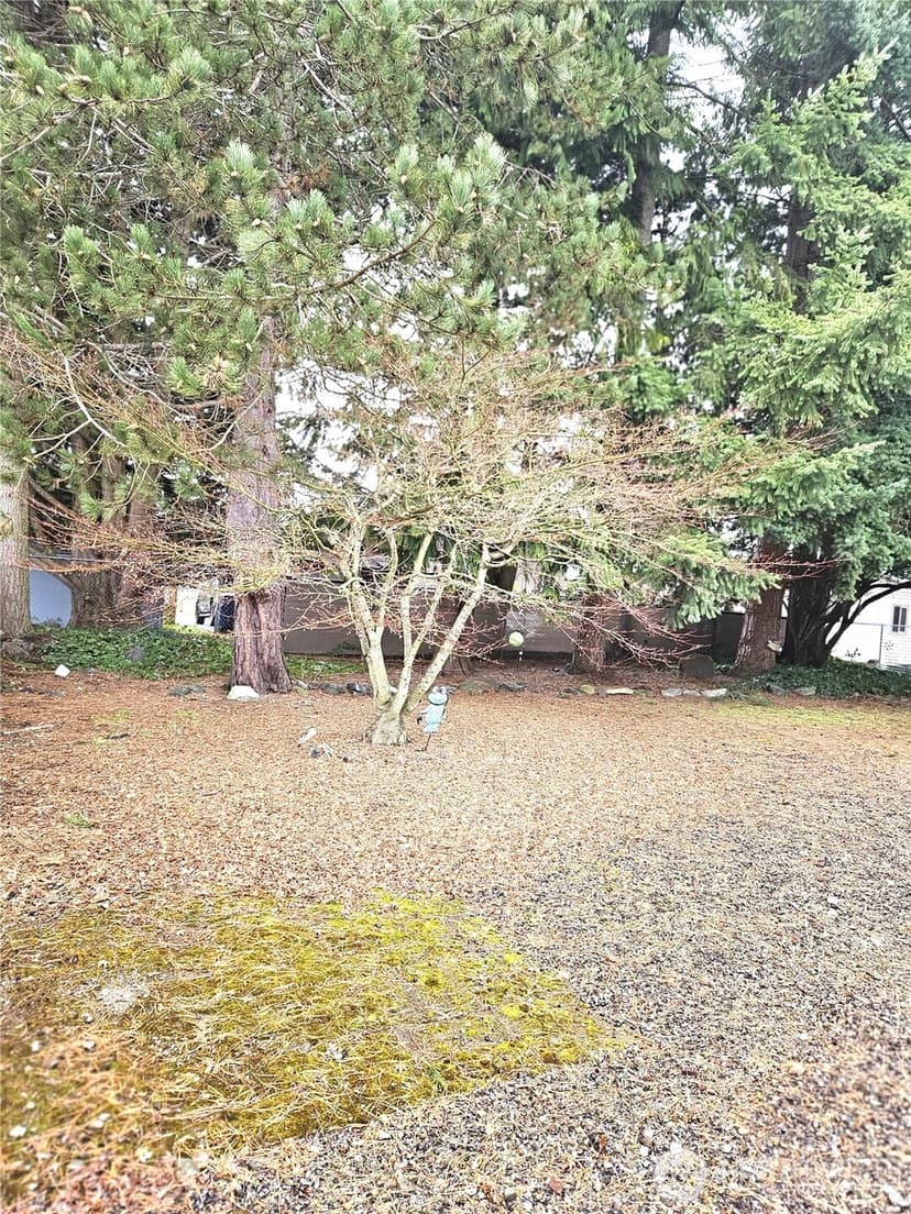 Property photo for 1427 100th Street #75, Everett photo 21