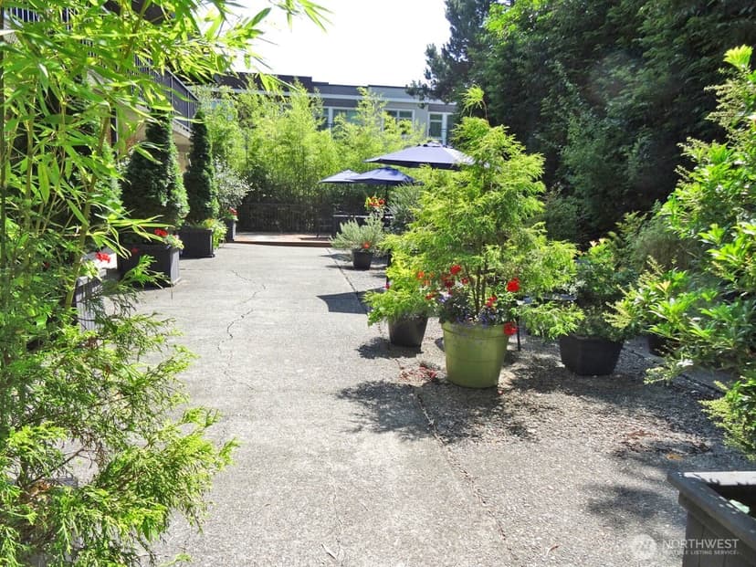 Property photo for 343 4th Avenue #D, Kirkland photo 17